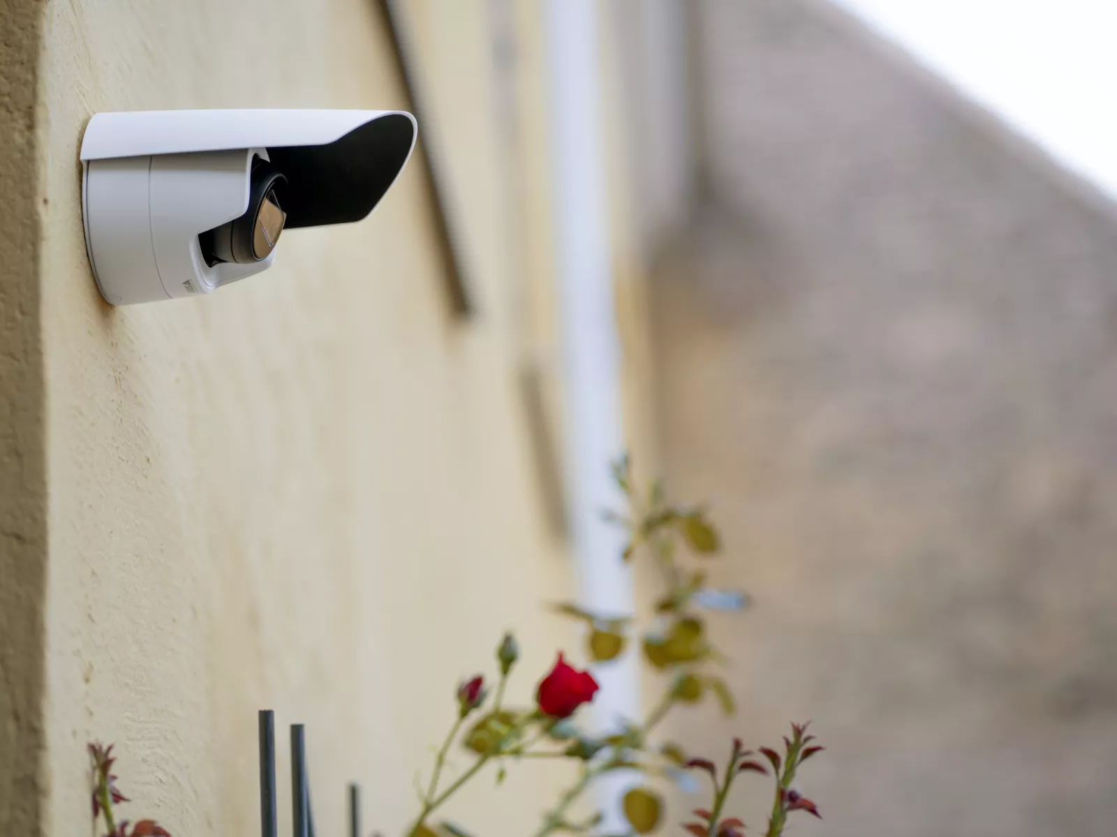 Axis M3125-LVE Dome Camera example image 2